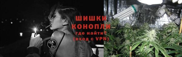 ALPHA PVP Горно-Алтайск